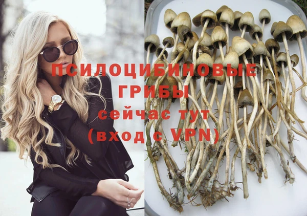 apvp Верхний Тагил